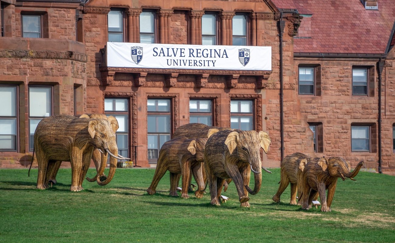 Great Elephant Migration at Salve Regina in summer 2024