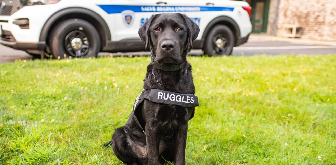 Ruggles and the PAWS Program | Salve Regina University