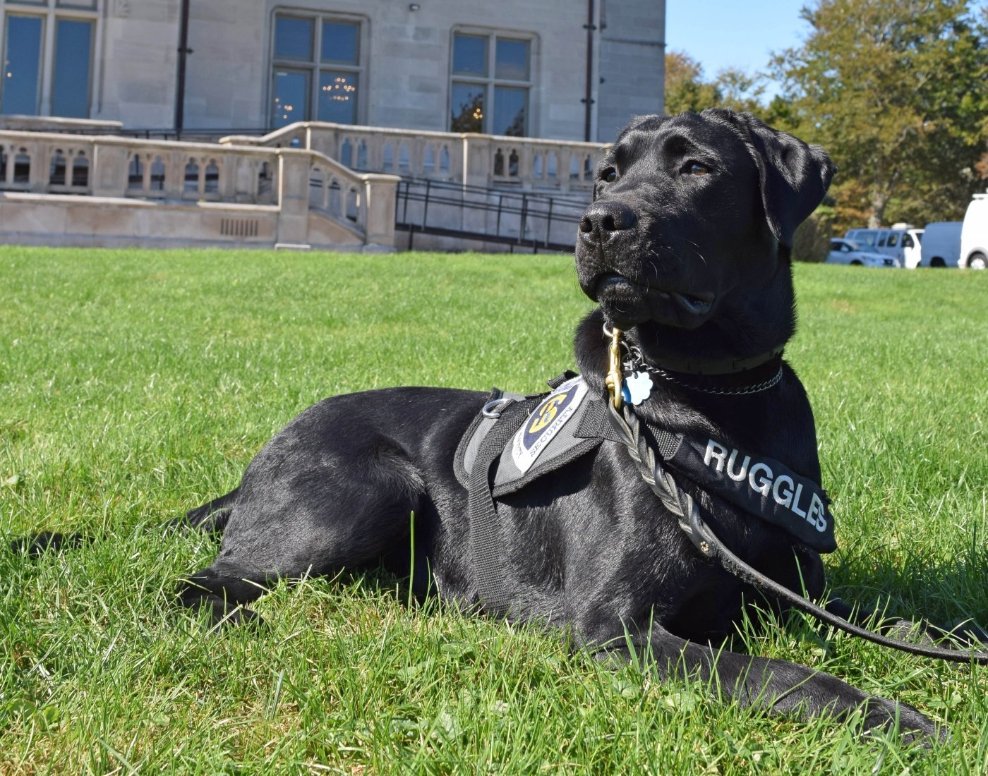 Ruggles Ochre Court lawn