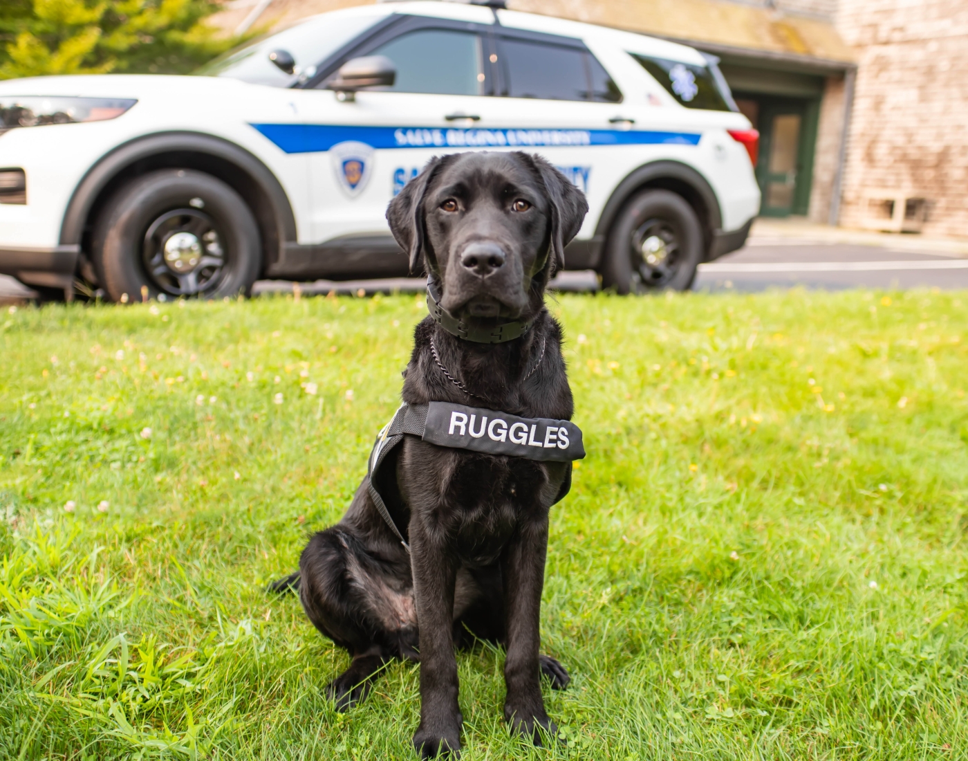 Ruggles and Public Safety vehicle