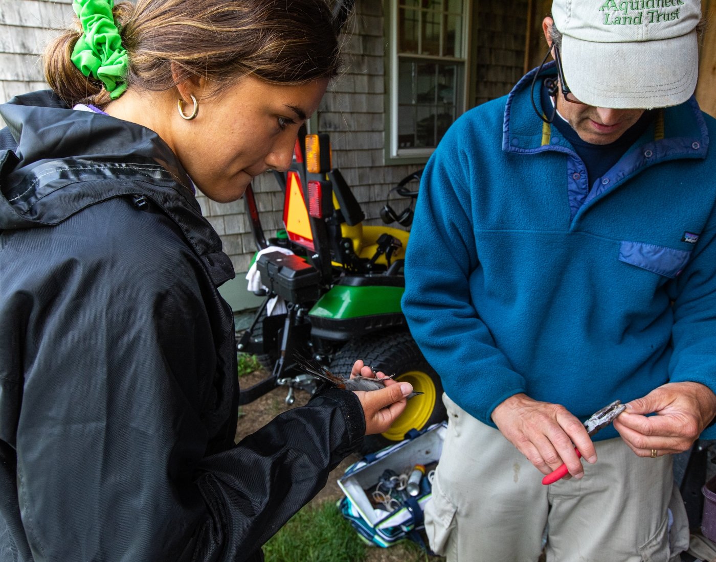 Student and professor banding a bird on Rose Island