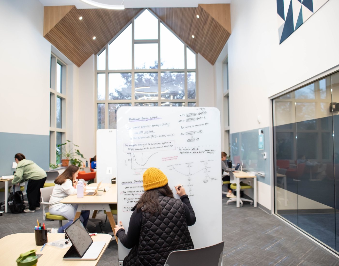 Student working in McKillop Library