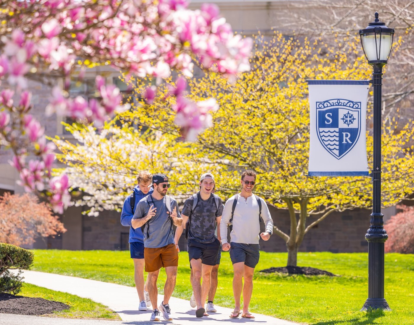 Four mail students walking on campus by tree in full pink bloom, near light with salve crest banner