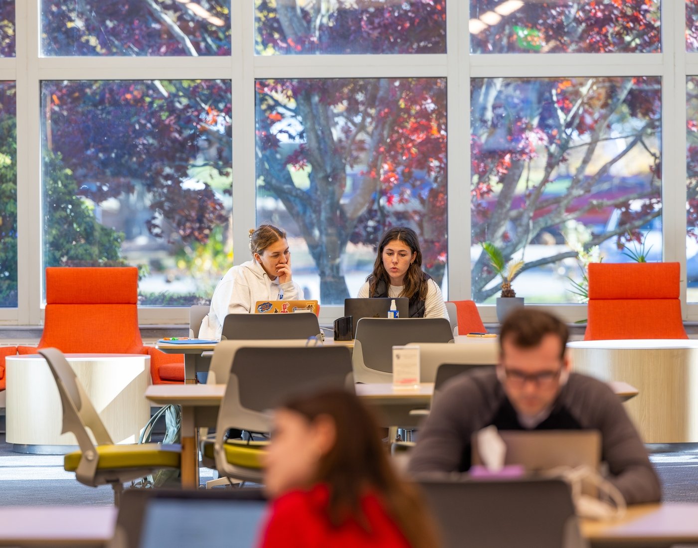Two females study in a library in front of floor-to-ceiling windows.