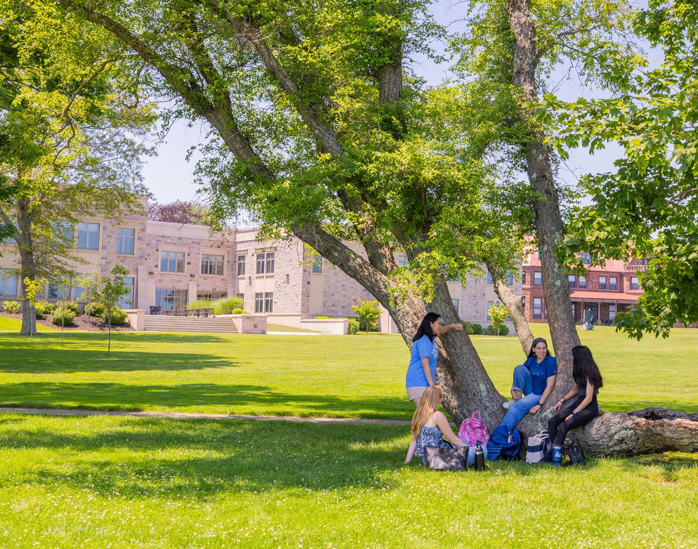 Salve students on campus Sitting under tree