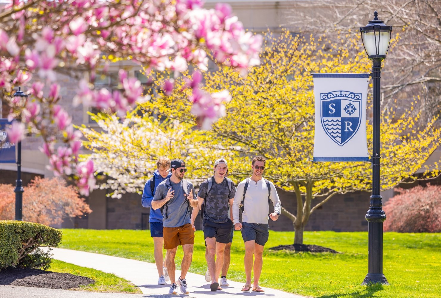 Four mail students walking on campus by tree in full pink bloom, near light with salve crest banner