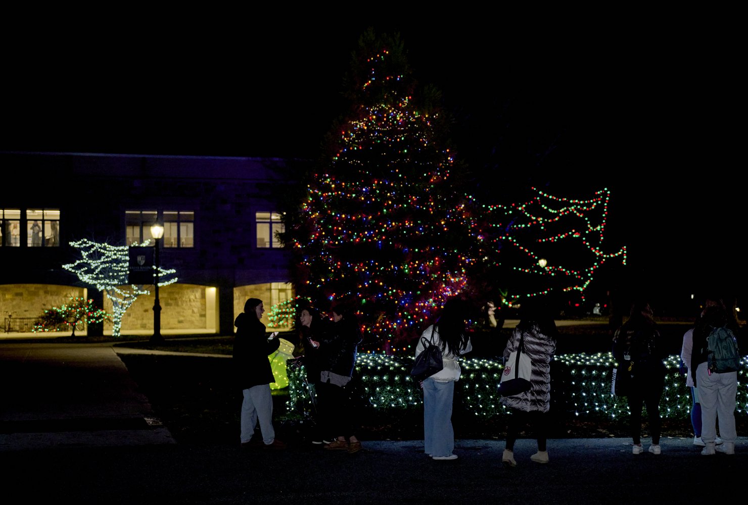 photo of tree light up for christmas outside with students gathered near.