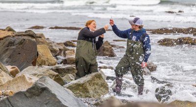 Salve Environmental Studies