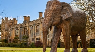 Photo for news article: "news_elephants-coming-to-salve_0624"