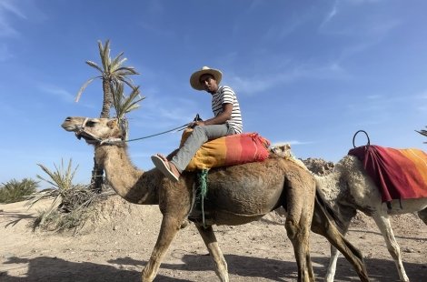 Students riding camels in the desert