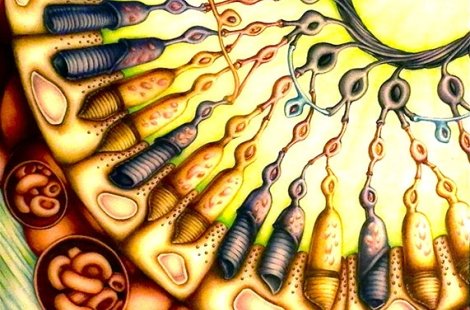 An example of illustration work by a Salve student