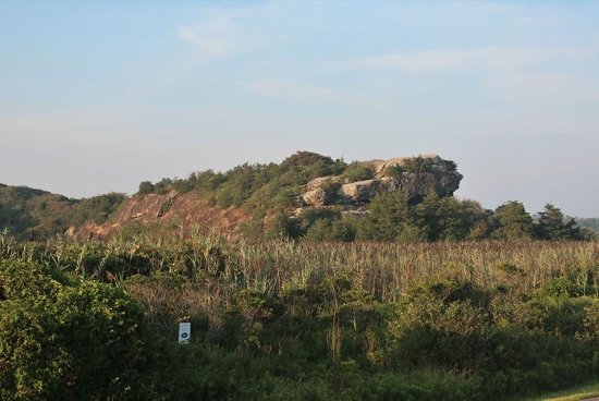 Photo for news article: "news_norman-bird-sanctuary_0822"