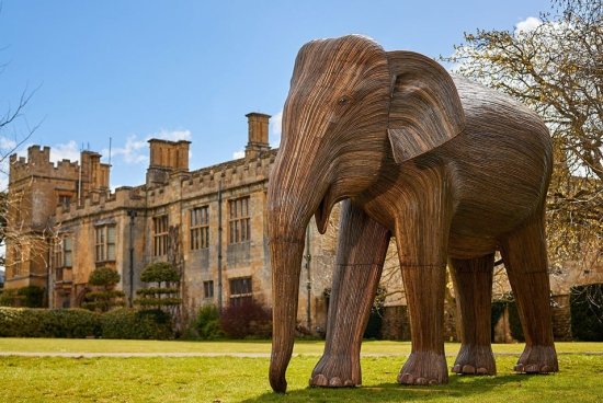 Photo for news article: "news_elephants-coming-to-salve_0624"