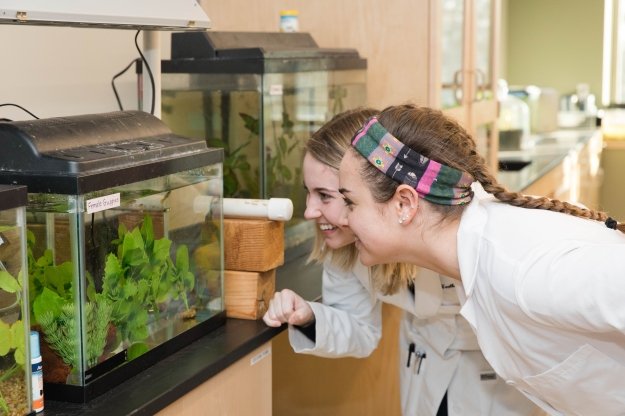 Salve Biology Students