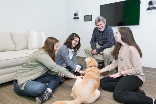 Salve Pet Therapy