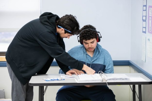 Salve Behavior Analysis