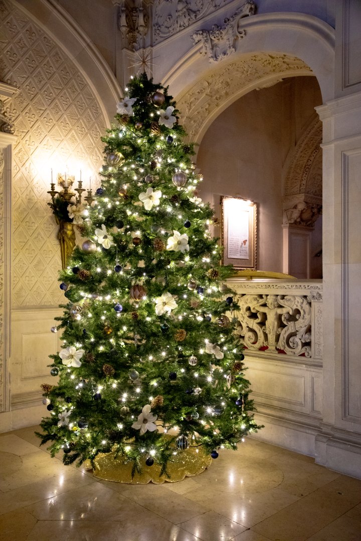 Christmas tree in Ochre Court