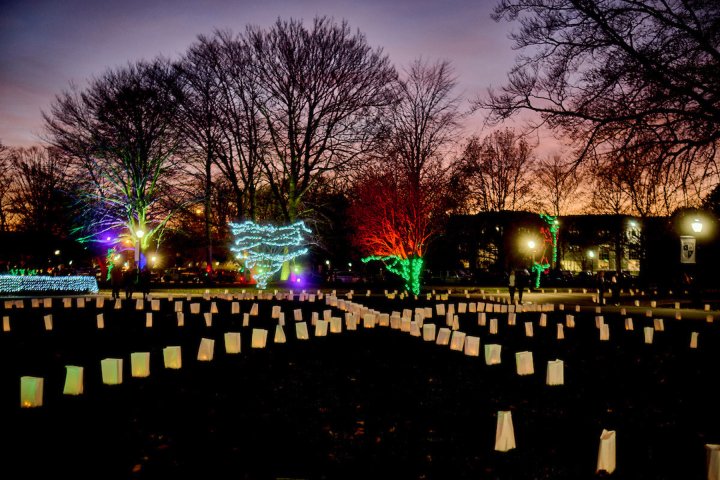 Rows of glowing luminaria line a lawn at dusk, with trees illuminated in colorful lights against a pink and purple evening sky.
