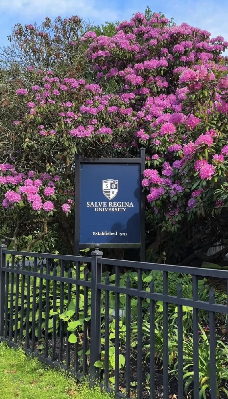 A sign for Salve Regina University, surrounded by a large tree with pink flowers.