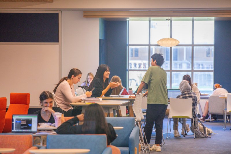 students working together at the library.