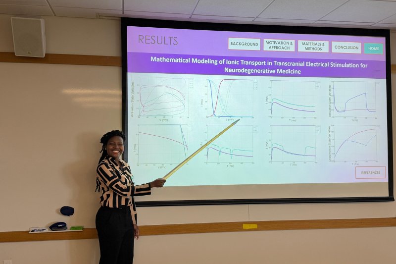 Gloria holding a pointer in front of presentation.