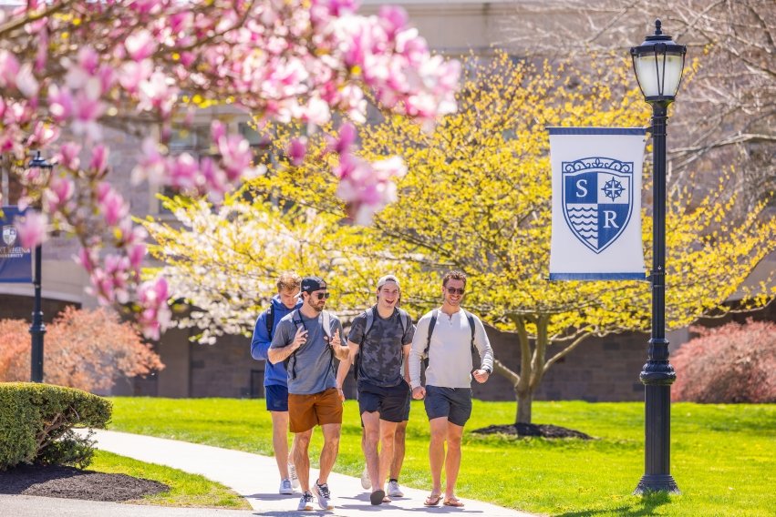 Four mail students walking on campus by tree in full pink bloom, near light with salve crest banner