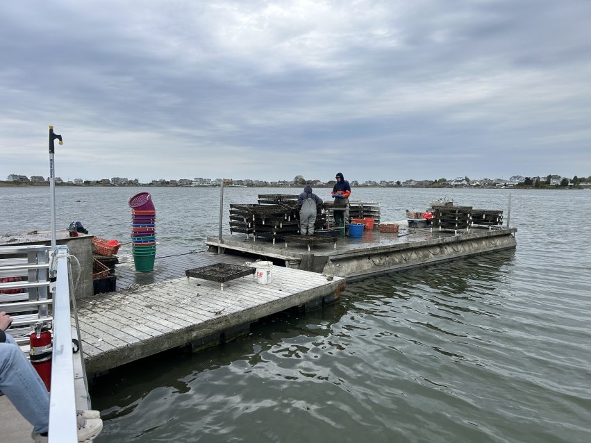 At Matunuck Oyster Farm, students explored the ecological and economic importance of oyster farming in Rhode Island, then capped off the experience with lunch featuring locally harvested seafood at Matunuck Oyster Bar.