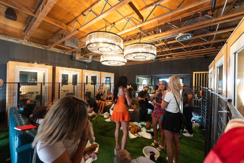 group of people inside on fake grass holding and playing with puppies up for adoption.