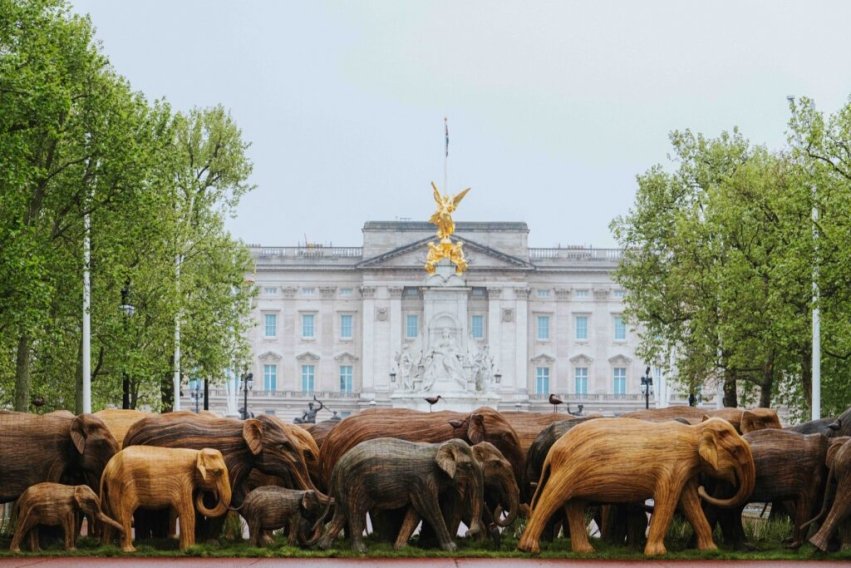 Photo for blog post "The elephants are coming to Salve"