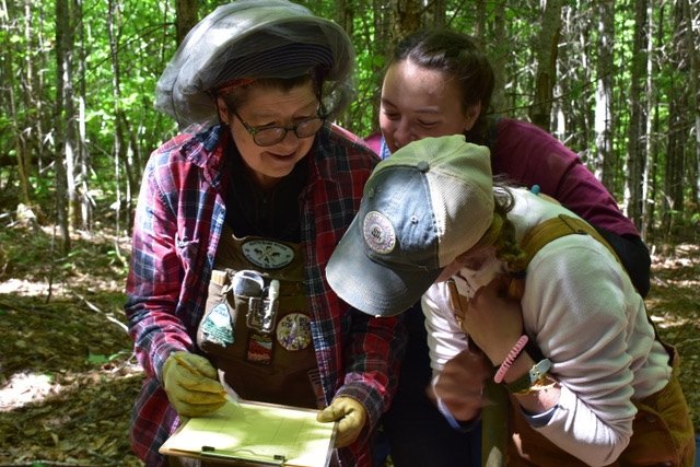 Photo for blog post "Salve Regina students discover Ice Age artifacts in northern Maine"