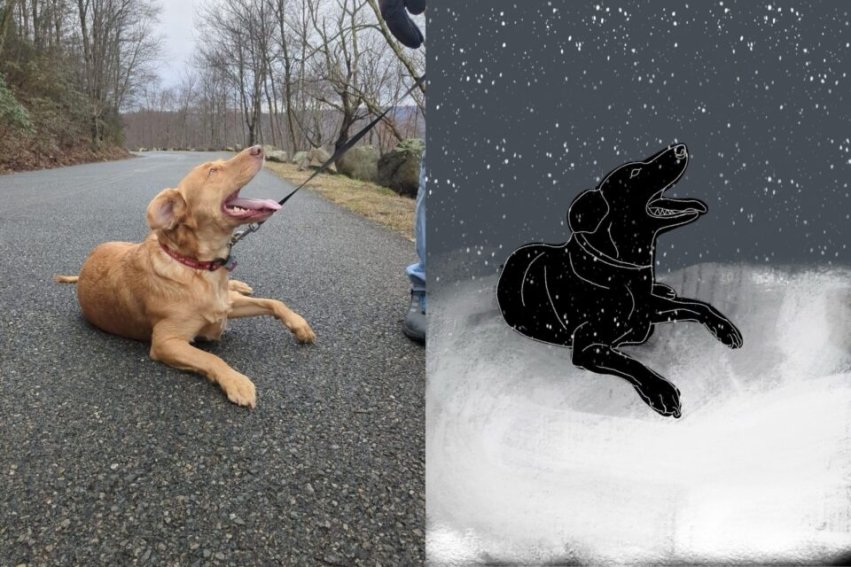 Photo for blog post "Studio art major Claire Roane earns a spot in the AKC Museum of the Dog"
