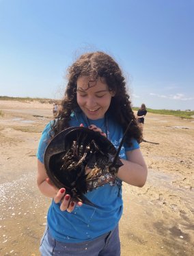 Bermingham holding a horseshoe crab on the beach.