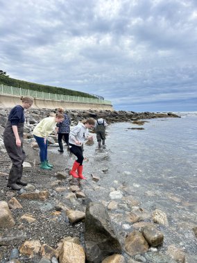 Students explored the rocky shoreline at Ruggles Beach, tidepooling to discover how wave energy shapes coastal ecosystems and the diverse marine life that thrives within these ever-changing tidal zones.