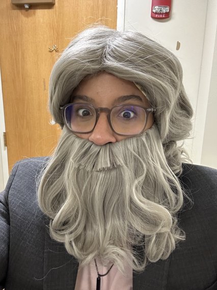Person in a wig, beard and glasses costume.