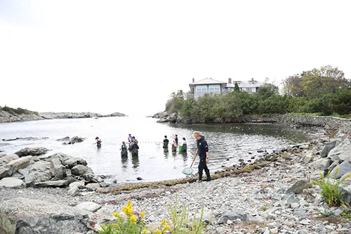 Students conduct water testing in Newport, Rhode Island